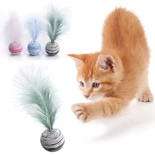 Cat Toy Feather Ball to get your cat healthy