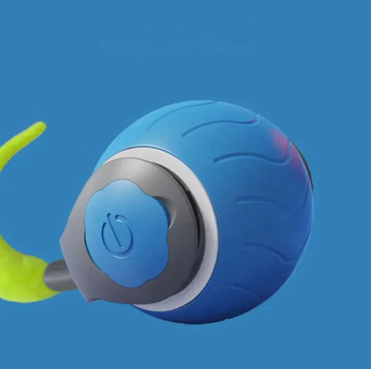 ChaseN Play Cat Toy to keep your cat or dog sharp