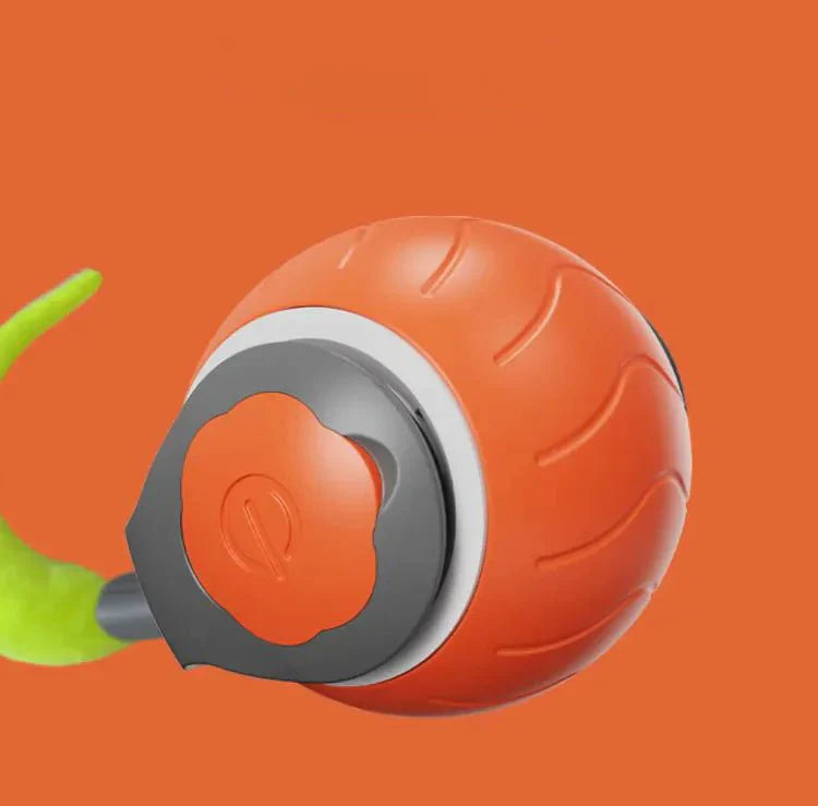 ChaseN Play Cat Toy to keep your cat or dog sharp