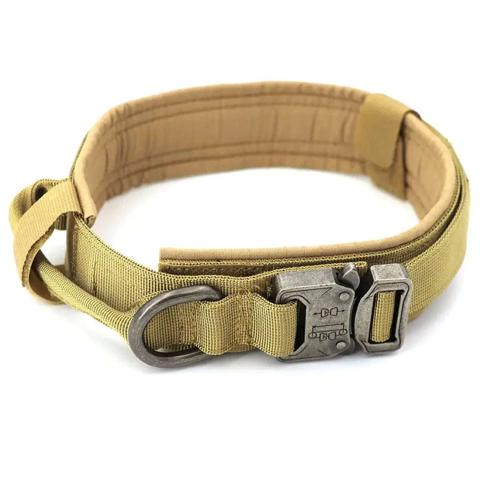 Dog Collar - My CTC Pet Store