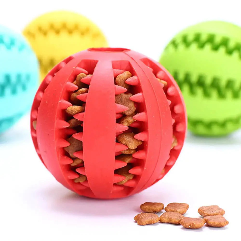 Interactive Toy Balls - My CTC Pet Store