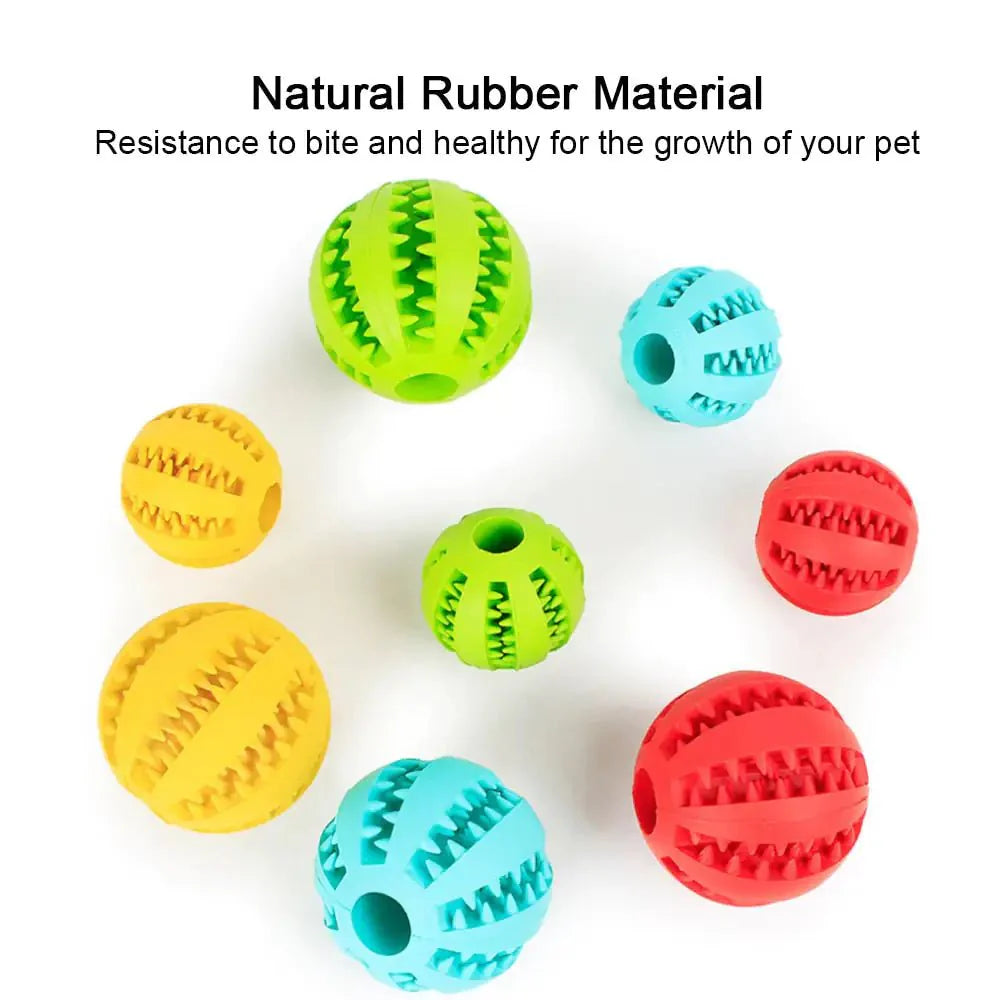 Interactive Toy Balls - My CTC Pet Store