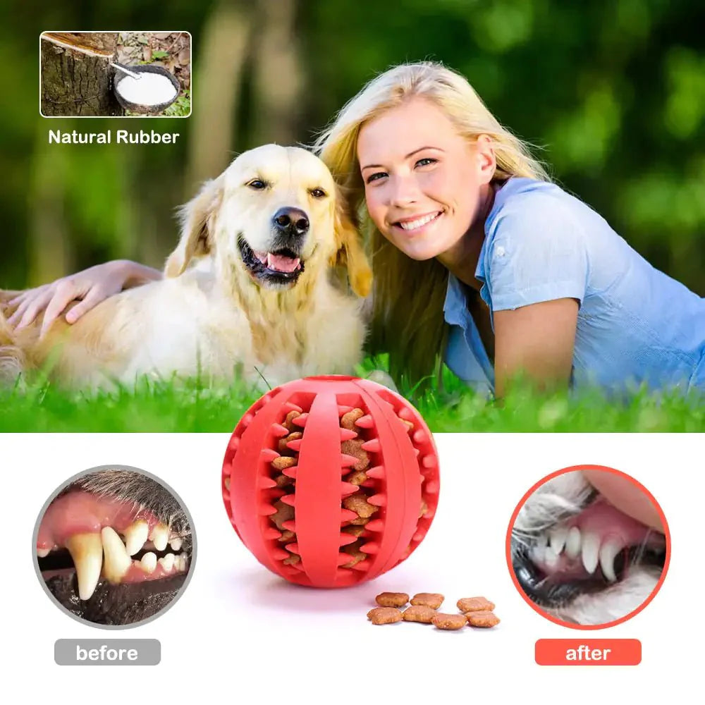 Interactive Toy Balls - My CTC Pet Store