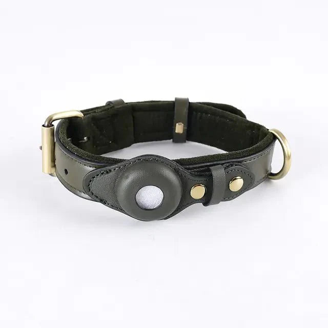 Leather Anti - Lost Dog Collar - My CTC Pet Store