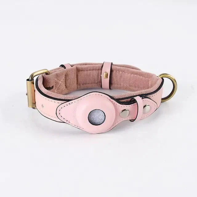 Leather Anti - Lost Dog Collar - My CTC Pet Store