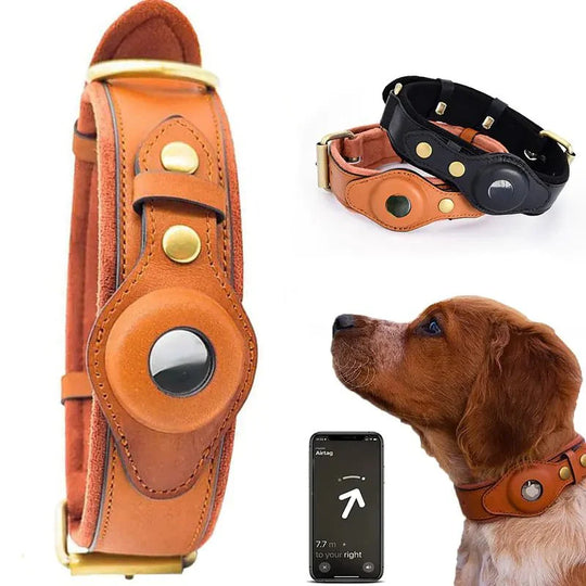 Anti-Lost Leather Collar: Style, Safety, & Contact Tag! ð¾ðð·ï¸