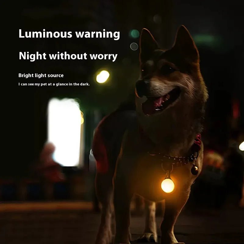 Led Luminous Dog Cat Collar Glowing Pendant Pet Leads Glow Accessories Bright Necklace Luminous Collar Night Safety Decoration - My CTC Pet Store