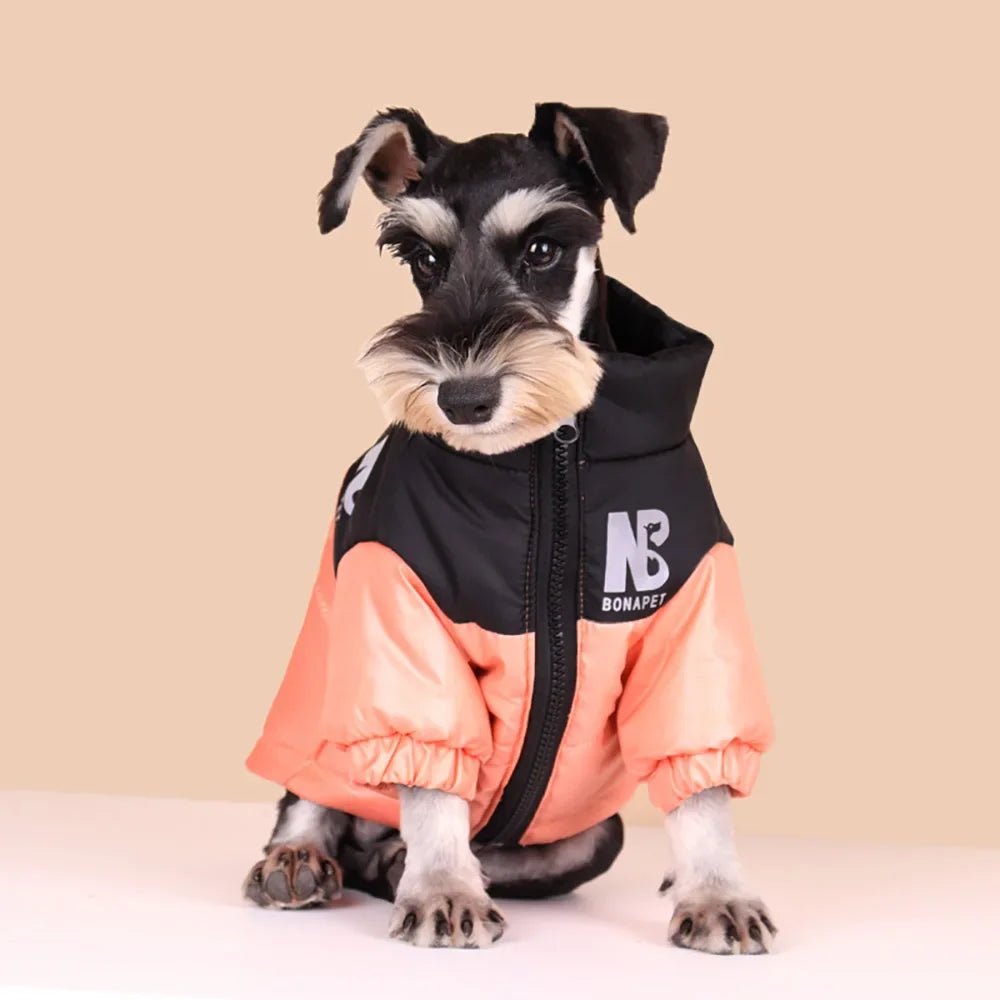 Luxury Dog down Jacket Winter Pet Clothes for Small Dogs Reflective Large Dog Coat French Bulldog Costume Labrador Husky Outfits - My CTC Pet Store
