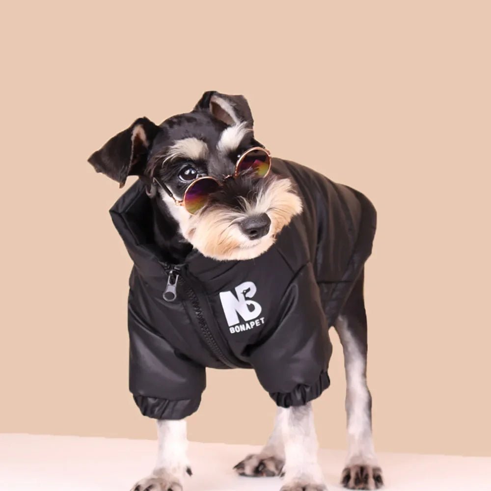 Luxury Dog down Jacket Winter Pet Clothes for Small Dogs Reflective Large Dog Coat French Bulldog Costume Labrador Husky Outfits - My CTC Pet Store