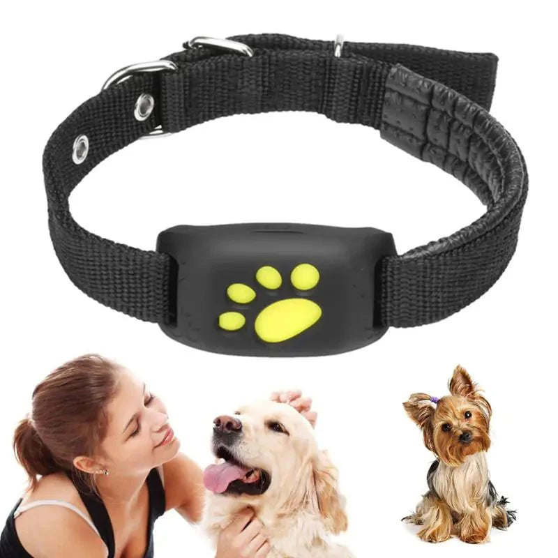 Pet GPS Tracker Collar - My CTC Pet Store