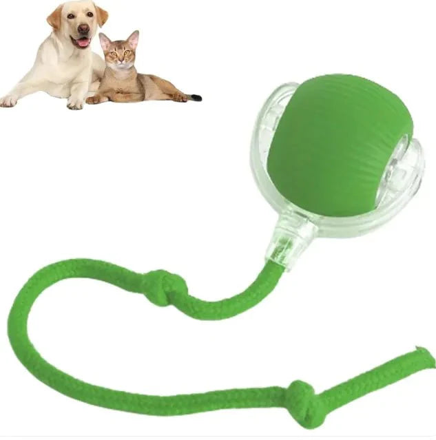 Smart Roling Pet Ball for the training of your cat or dog