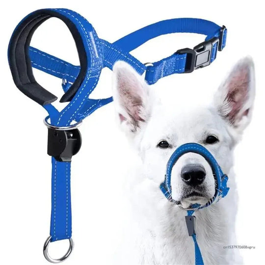 Training Collar for uncontrollable dogs.